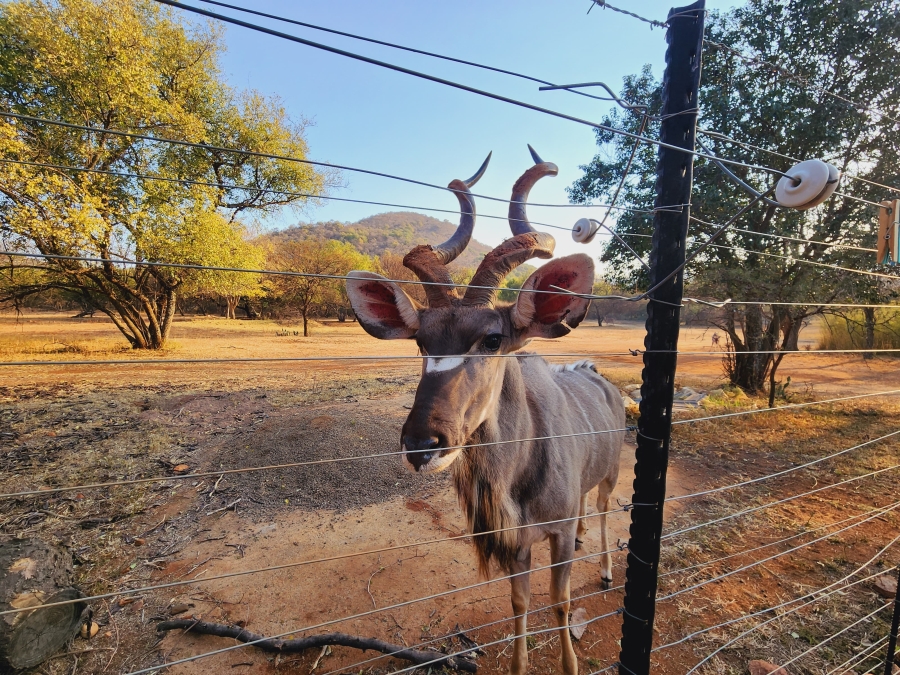 7 Bedroom Property for Sale in Potchefstroom Rural North West